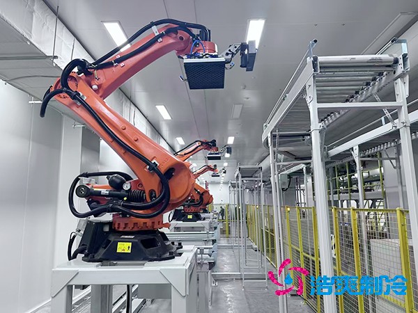 自動(dòng)化醫(yī)藥冷庫安裝_GSP/GMP自動(dòng)化冷庫建造_FDA藥品自動(dòng)化冷庫廠家